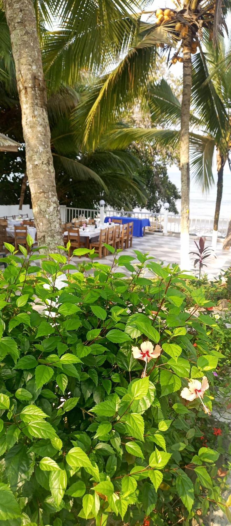 Residence Callens Kribi Buitenkant foto